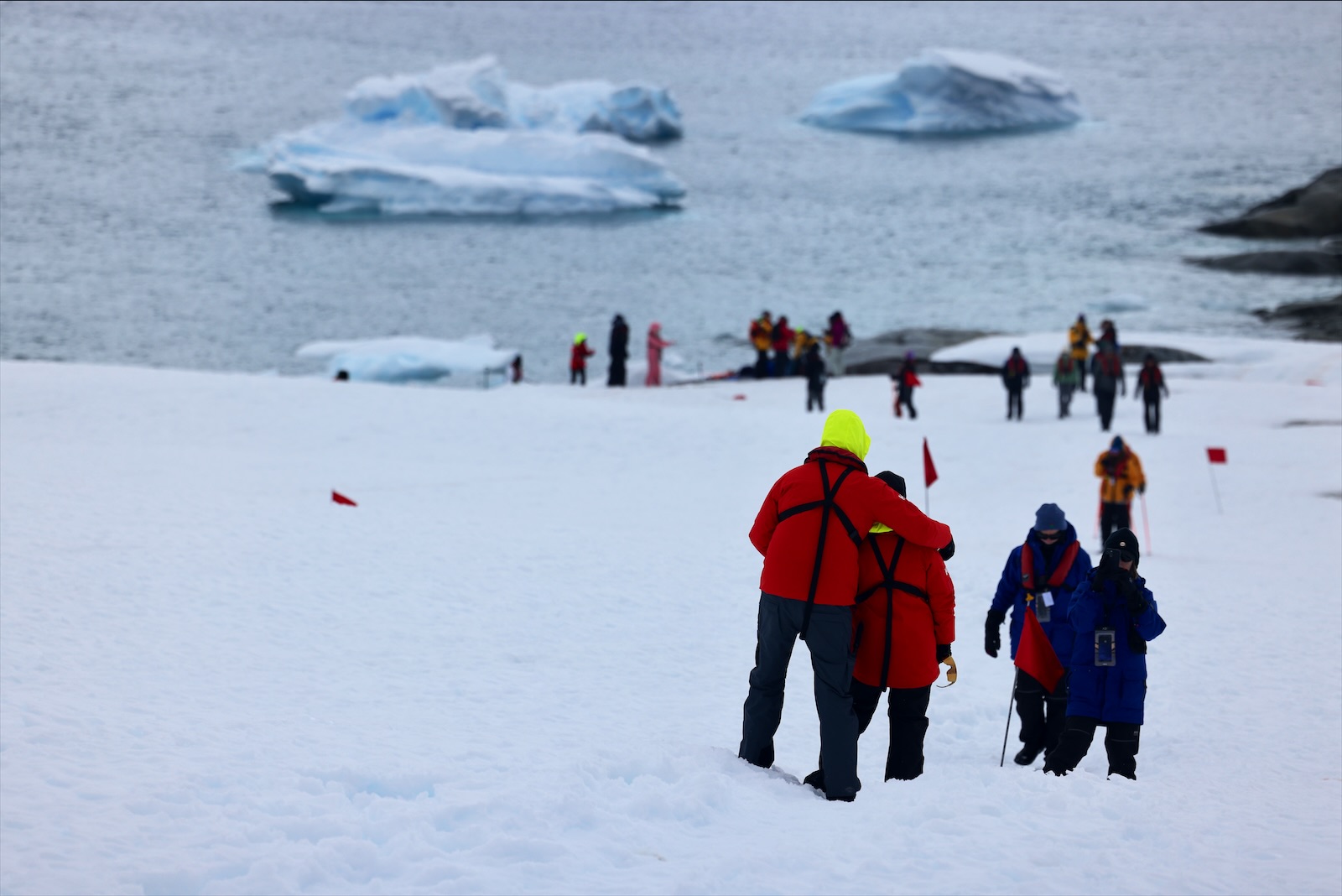 Viajeros caminan sobre la nieve con icebergs al fondo