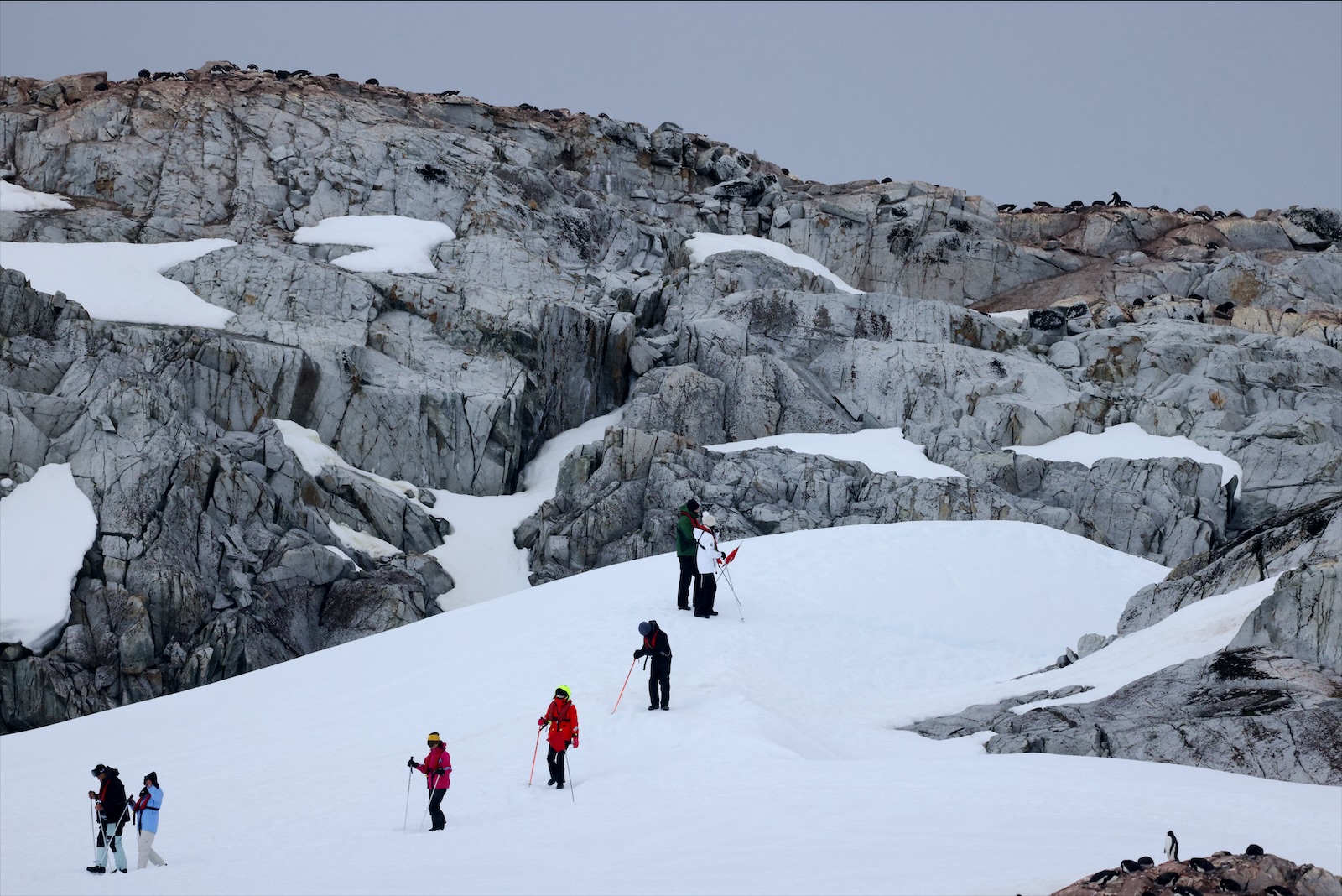 Una fila de viajeros camina por una ladera nevada entre rocas