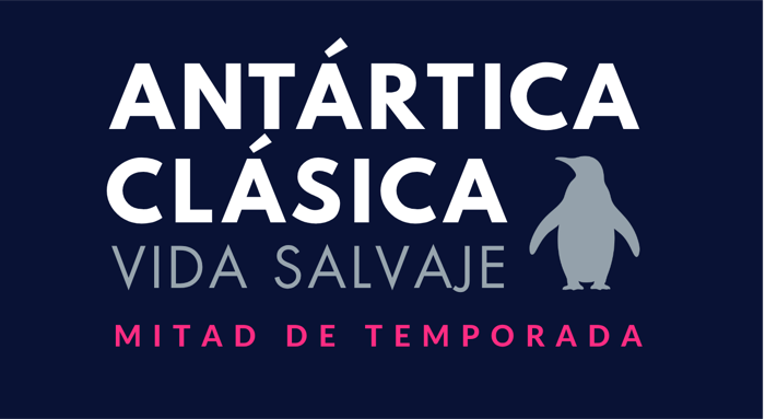 Antártica Clásica Vida Salvaje, mitad de temporada